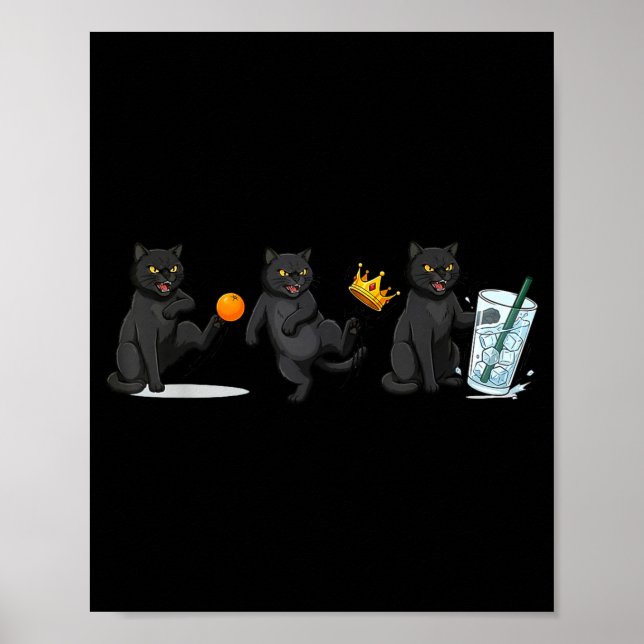 Póster Nope no reyes no gato de hielo meme político diver (Frente)