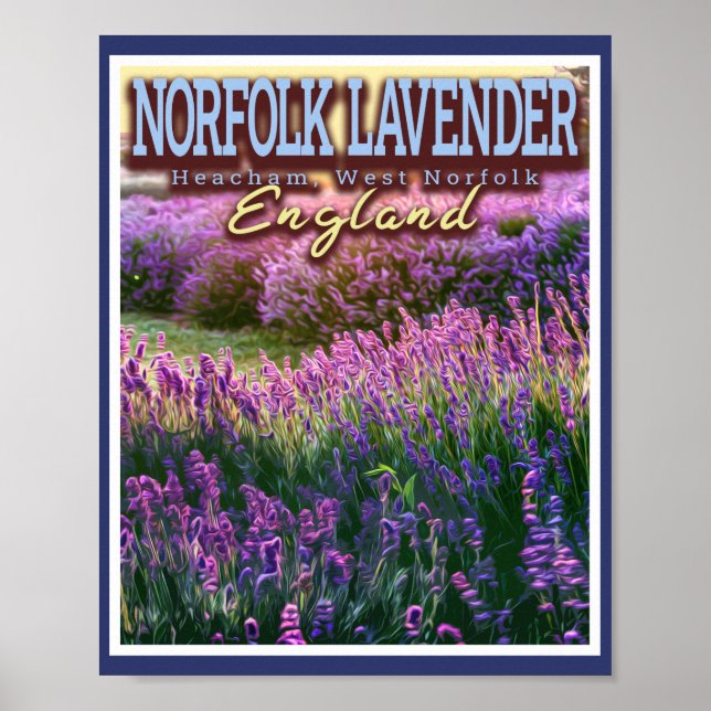 PÓSTER NORFOLK LAVENDER - LAVENDER FIELD NORFOLK ENGLAND (Frente)
