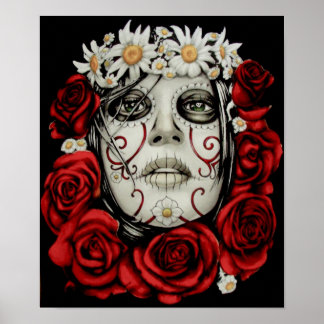 Póster norma dod