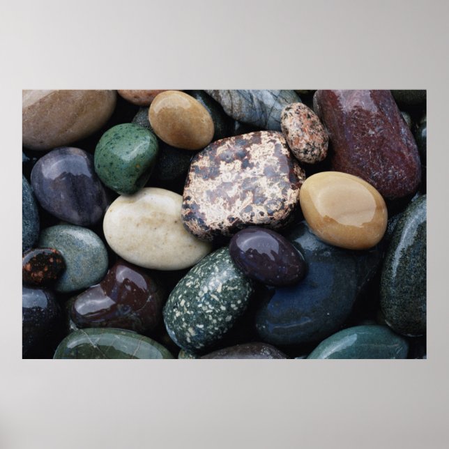 Póster Noroeste del Pacífico EE. UU., Piedras de río colo (Frente)
