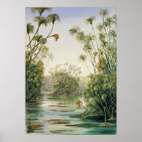 Norte de Marianne - Paisaje exótico