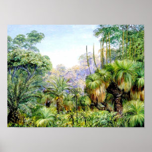 Póster Norte - Escena forestal en Australia Occidental