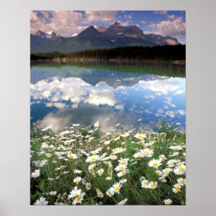 Póster Norteamérica, Canadá, Alberta, Parque Nacional Ban