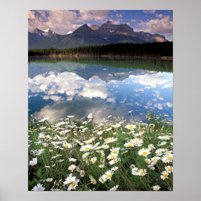 Póster Norteamérica, Canadá, Alberta, Parque Nacional Ban (Frente)