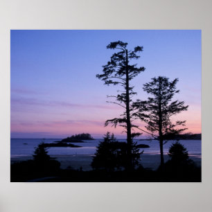 Póster Norteamérica, Canadá, Isla de Vancouver, árboles