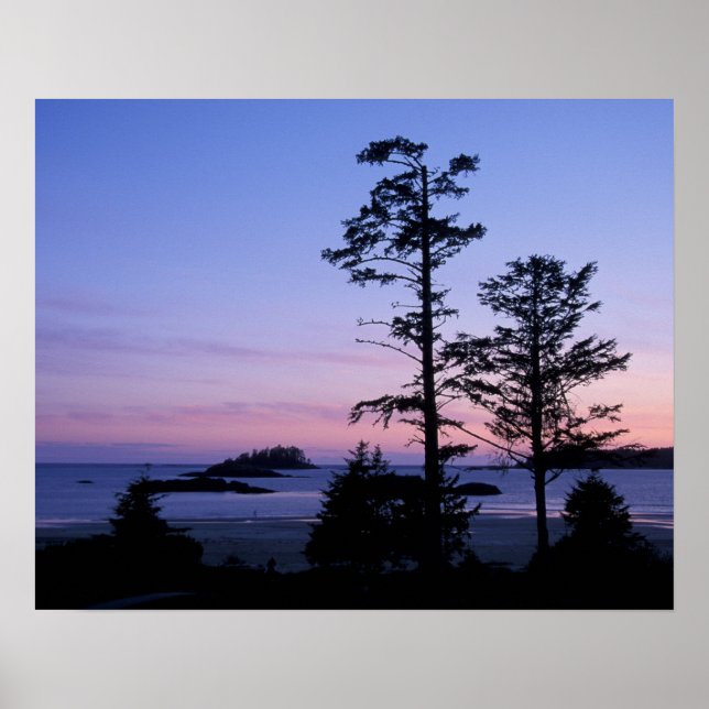 Póster Norteamérica, Canadá, Isla de Vancouver, árboles (Frente)
