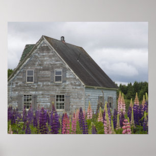 Póster Norteamérica, Canadá, Isla del Príncipe Eduardo,