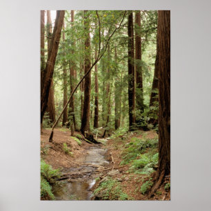 Póster Norteamérica, EE. UU., California, Big Sur,