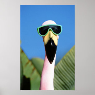 Póster Norteamérica, EE. UU., California, San Diego. Mar