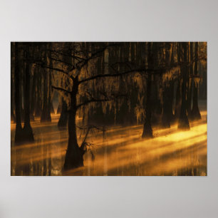 Póster Norteamérica, EE. UU., Georgia, George Smith