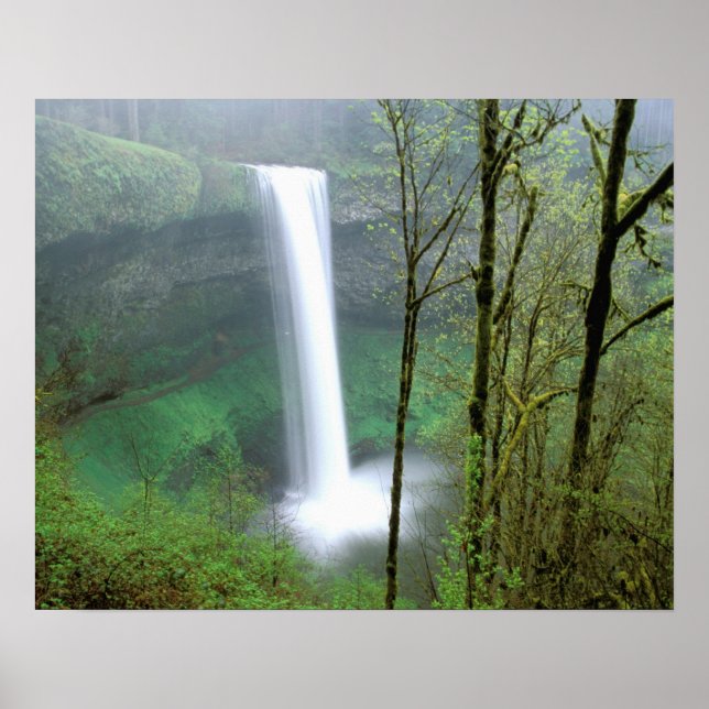 Póster Norteamérica, EE. UU., Oregón, Silver Falls State (Frente)