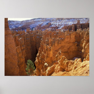 Póster Norteamérica, EE. UU., Utah, Bryce Canyon 2