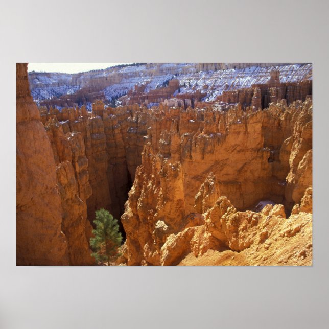 Póster Norteamérica, EE. UU., Utah, Bryce Canyon 2 (Frente)