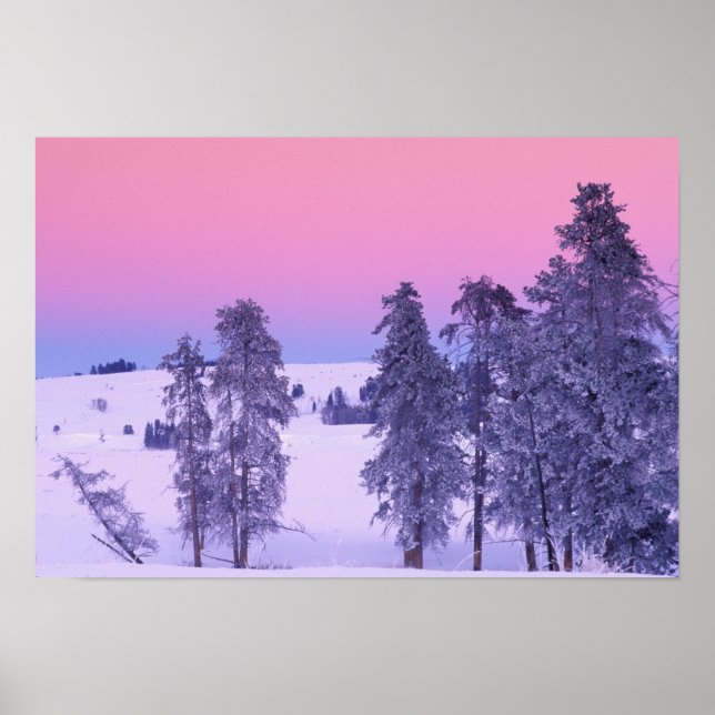 Póster Norteamérica, Estados Unidos, Montana, Yellowstone (Frente)