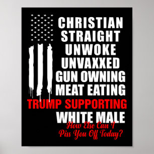 Póster Norteamérica Vintage franca y blanca cristiana Fl