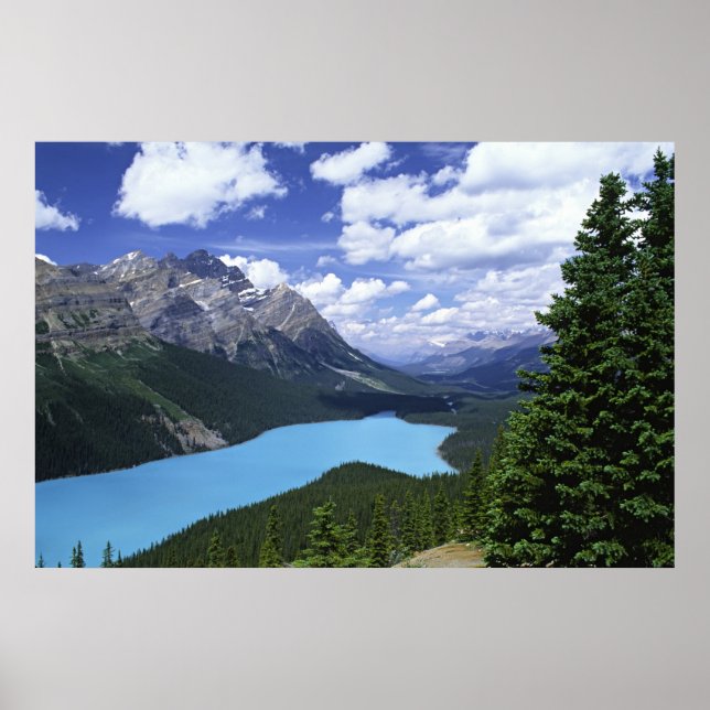 Póster North America, Canada, Alberta, Jasper 6 (Frente)