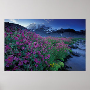 Póster North America, USA, Washington, Mt. Rainier 6