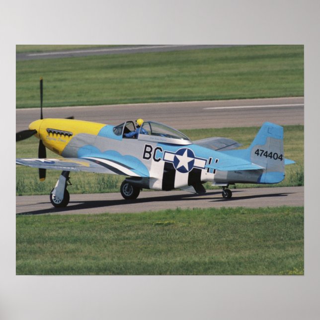 Póster North American P-51 D Dazzling Donna en la (Frente)