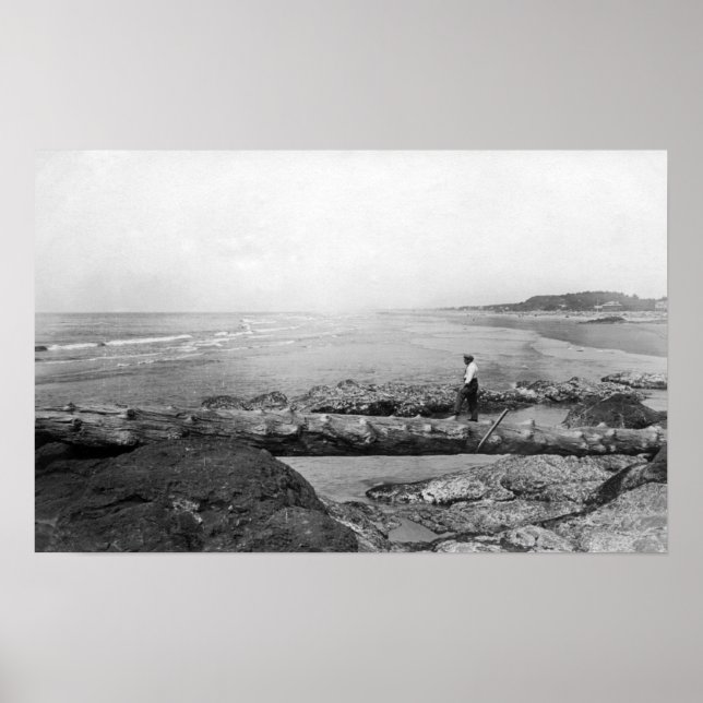 Póster North Beach, WA Natural Foot Bridge Beach (Frente)