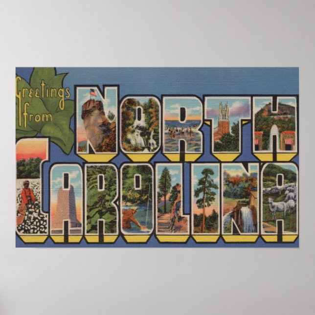 Póster North Carolina (State Capital/Flower) (Frente)