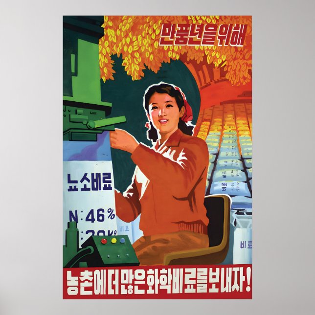 Póster North Korea Propaganda Poster Let's finish the (Frente)