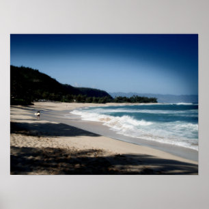 Póster North Shore, Oahu