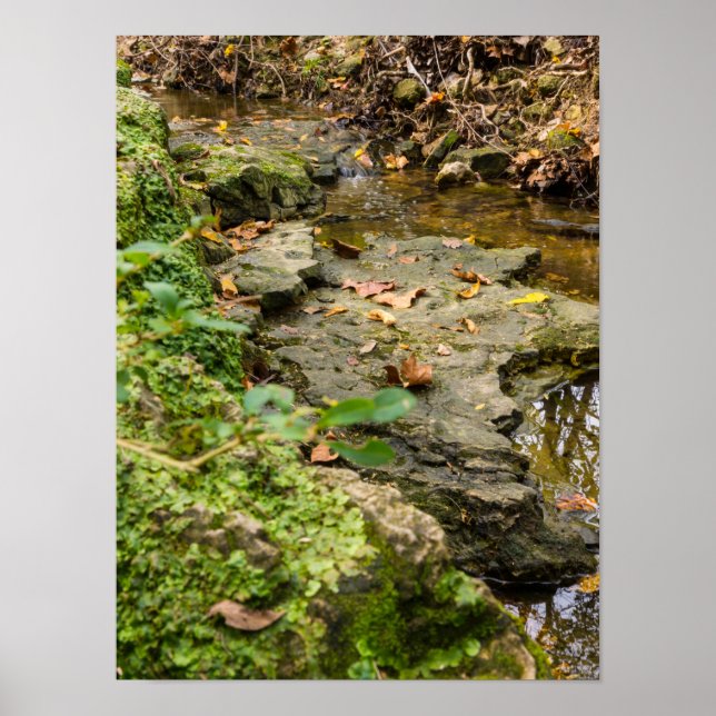 Póster North Wears Creek Rock Bed (Frente)