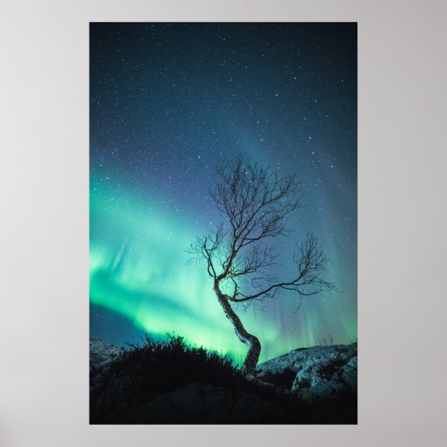 Póster Northern Lights (Frente)