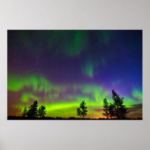 Póster Northern Lights   Manitoba Canada
