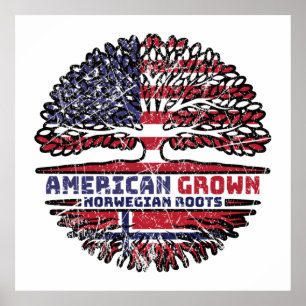Póster Noruego Noruego Estados Unidos Estados Unidos