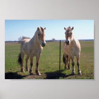 Póster Norwegian Fjords