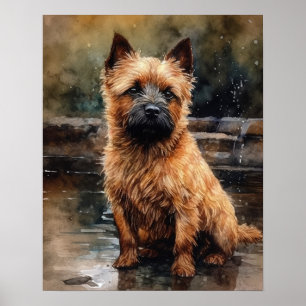 Póster Norwich Terrier Dog Art Print Poster