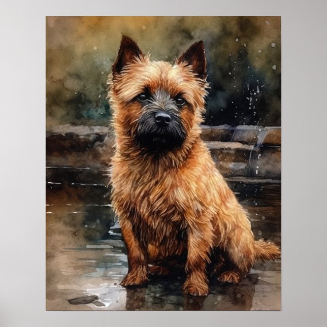 Póster Norwich Terrier Dog Art Print Poster (Frente)
