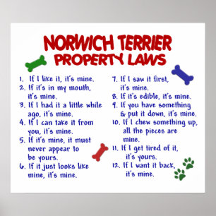 PÓSTER NORWICH TERRIER PL2