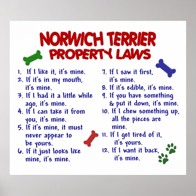 PÓSTER NORWICH TERRIER PL2 (Frente)