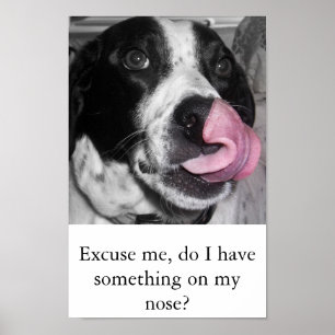 Póster Nose Job