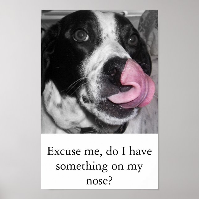 Póster Nose Job (Frente)