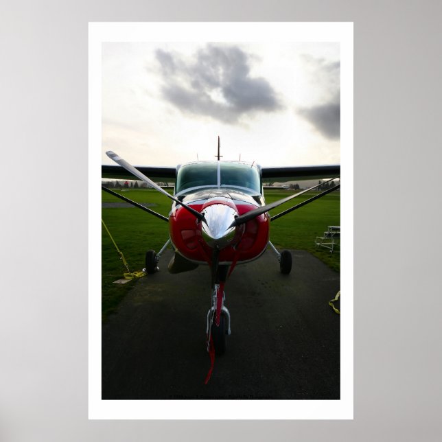 Póster Nose Shot (Frente)