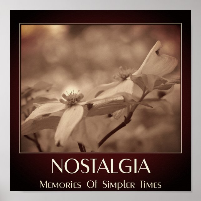 Póster Nostalgia Sepia Dogwood Flor (Frente)