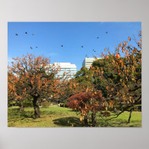 Nostálgico cielo otoñal