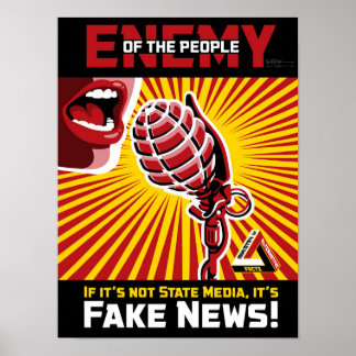 Póster Noticias falsas