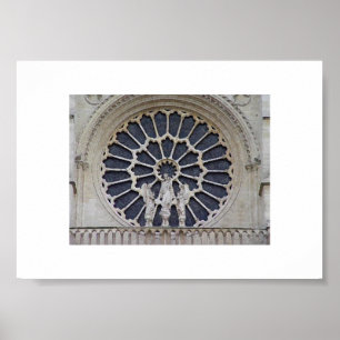Póster Notre Dame Up Close