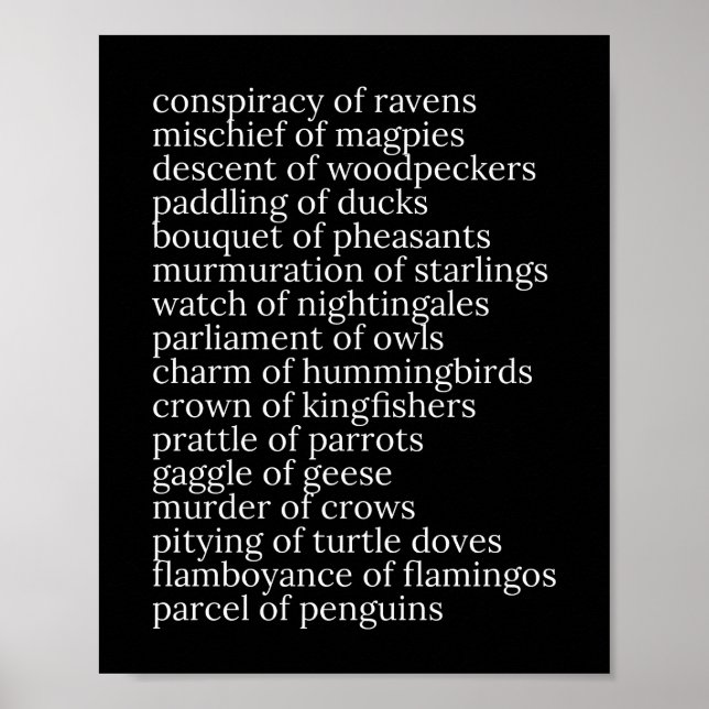 Póster Noundes colectivos de aves negras y blancas (Frente)