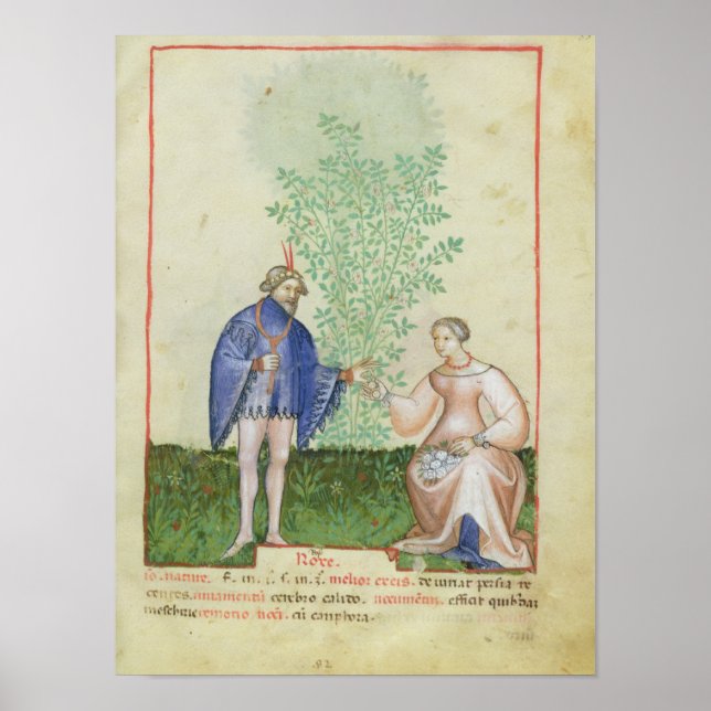 Póster Nouv Acq LatRoses, de 'Tacuinum Sanitatis' (Frente)