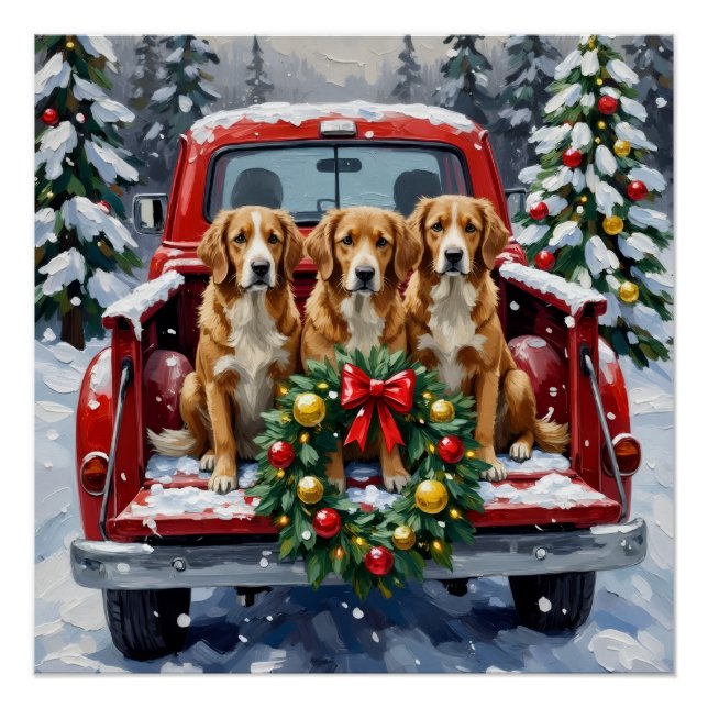Póster Nova Scotia Duck Tolling Retriever Christmas Red (Anverso)