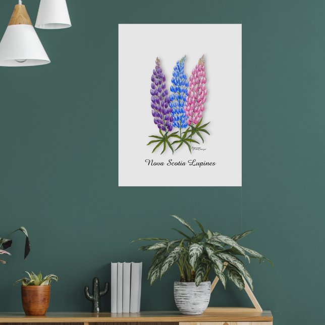 Póster Nova Scotia Lupines (Salón 1)