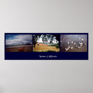 Póster Novato, California