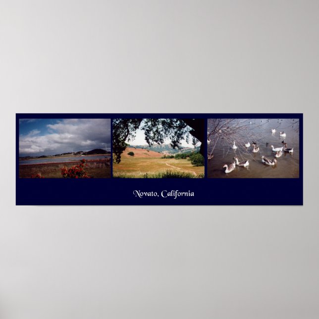 Póster Novato, California (Frente)