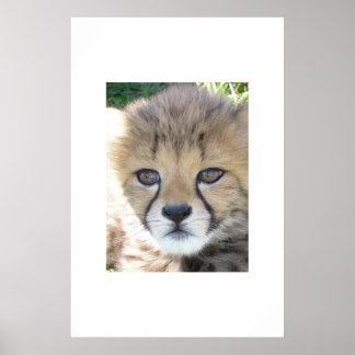 Póster Noviembre dulce