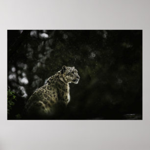 PÓSTER NOWLEOPARD IN RAIN